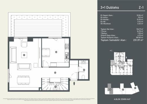 Type_31_Duplex-01